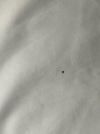 Blood on the sheets