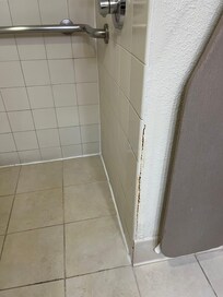 Discolored spots on wall by shower