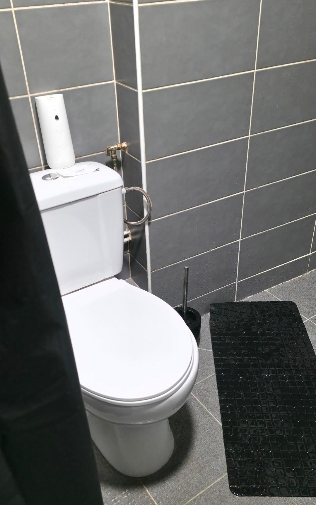 shower and toilet same space