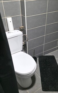 shower and toilet same space