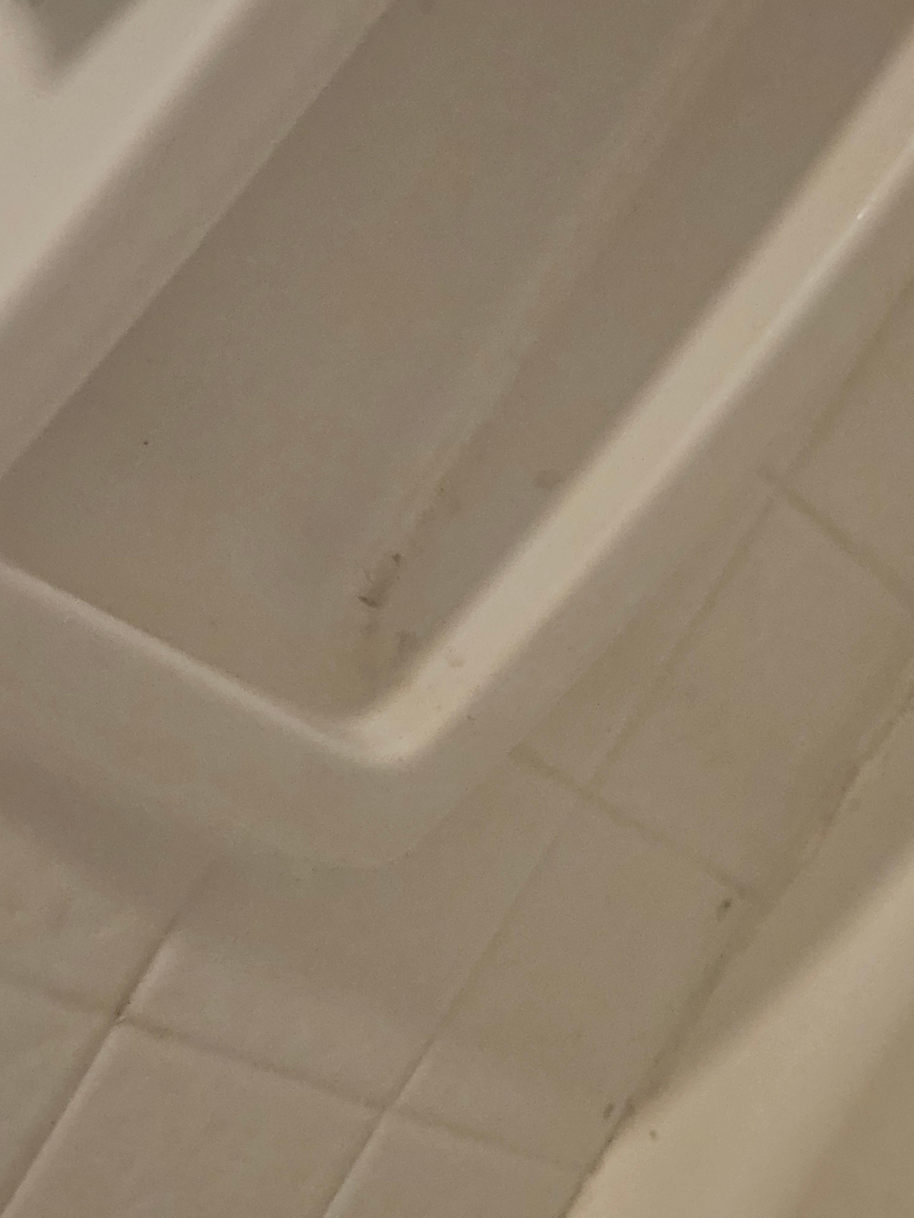 The tub in the master.