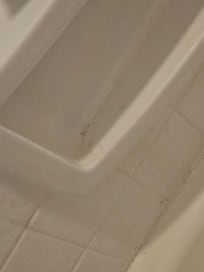 The tub in the master.