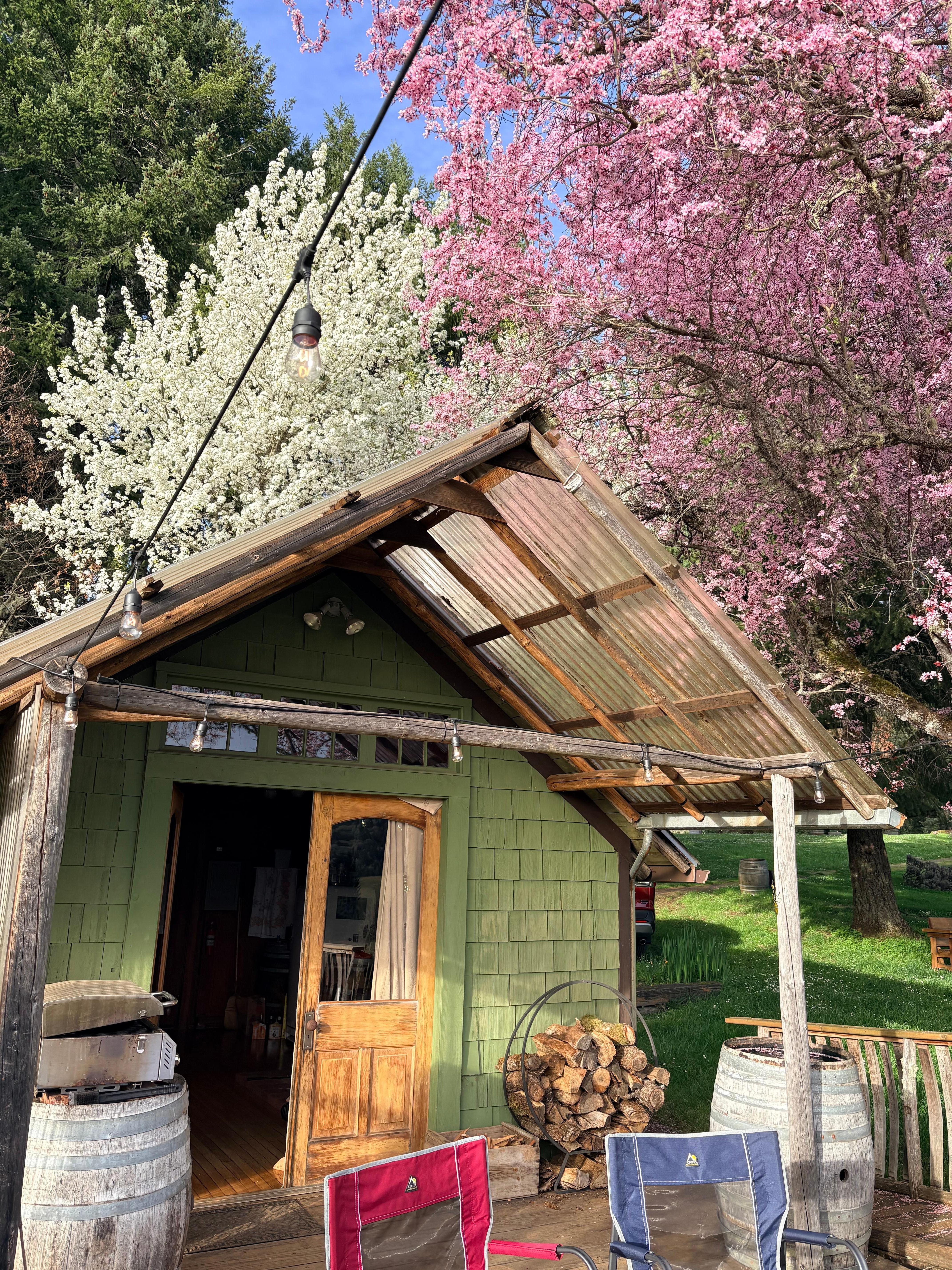 Back deck