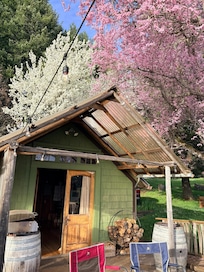 Back deck