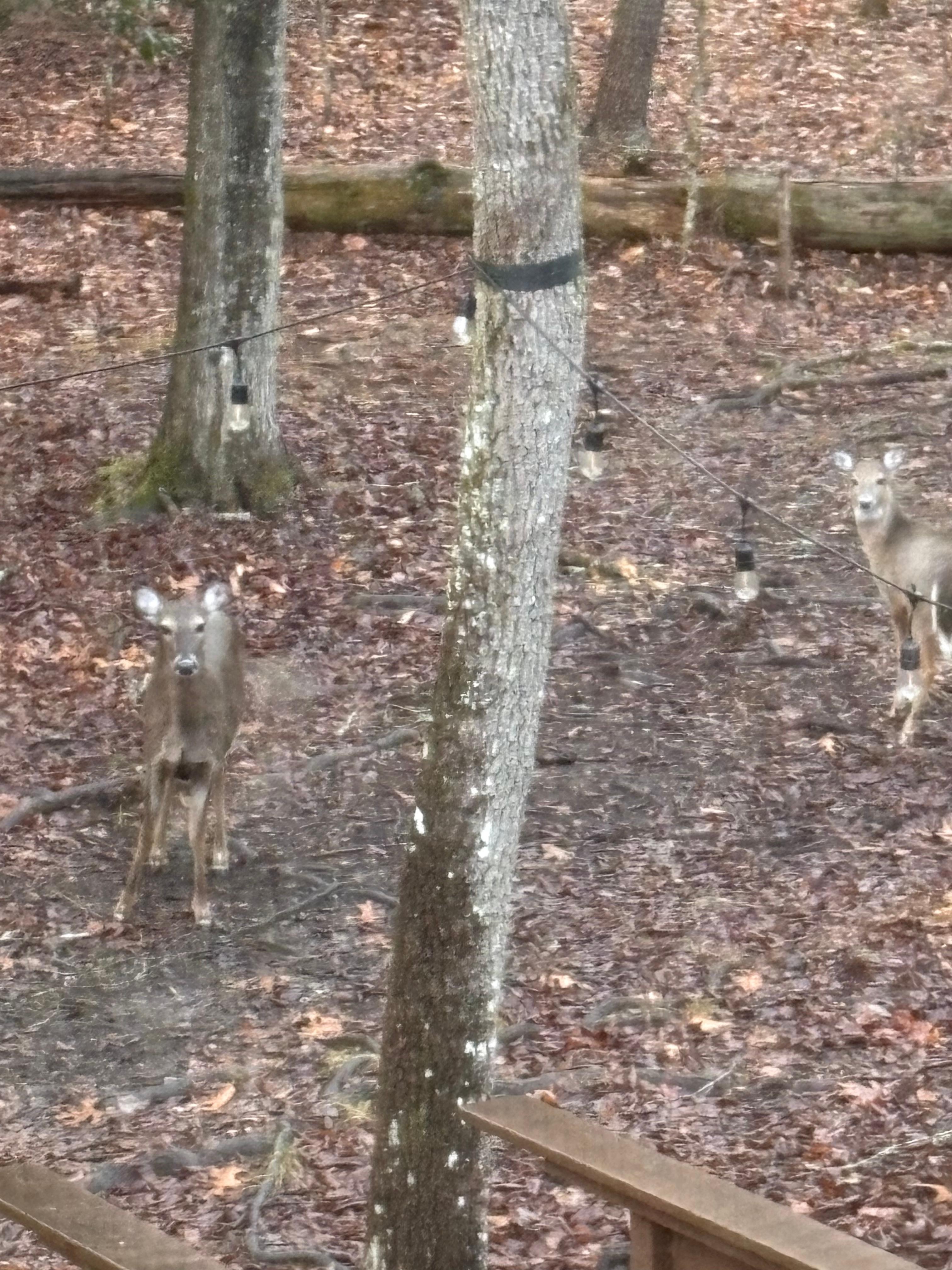 Actually had 10 there at one point!