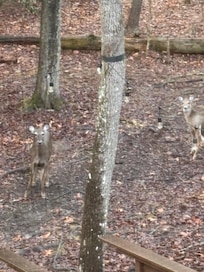 Actually had 10 there at one point!