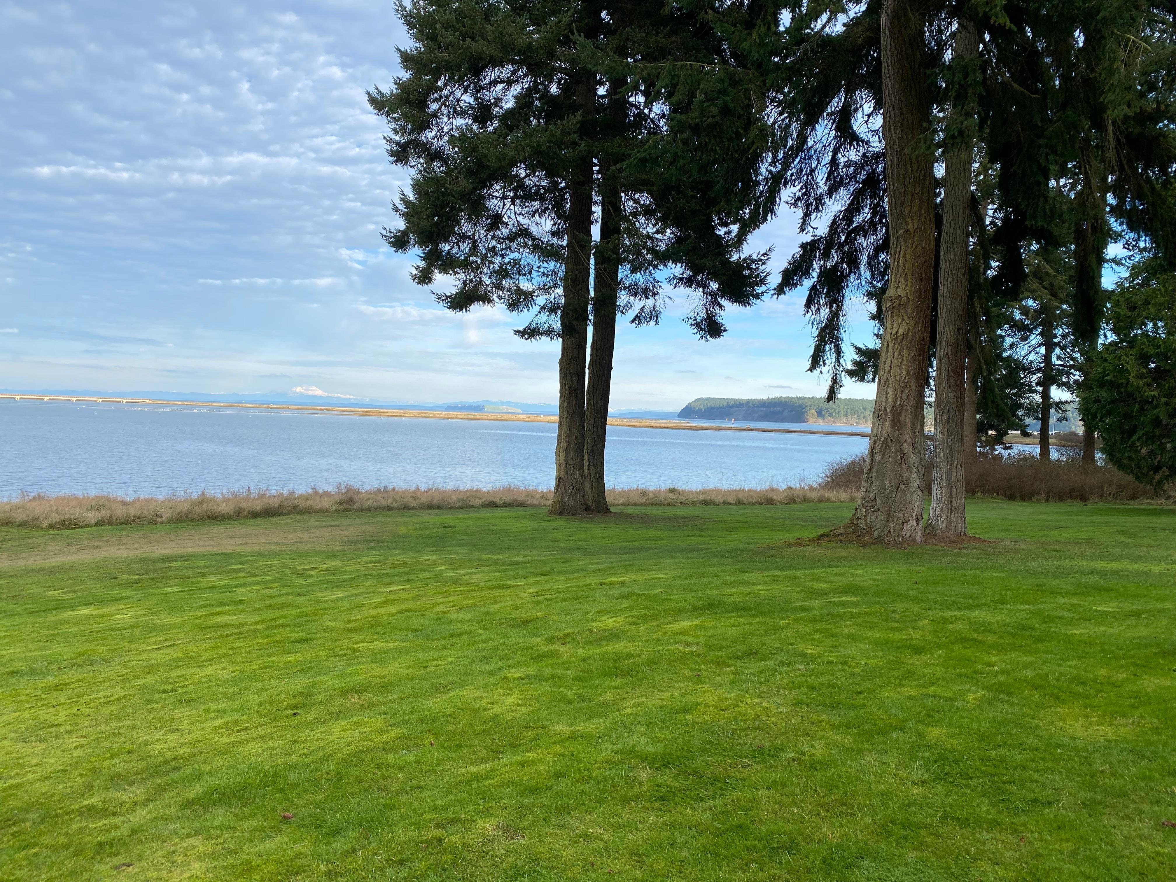 View from yard with M. Baker in background 