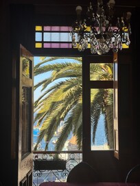 View from the patio.