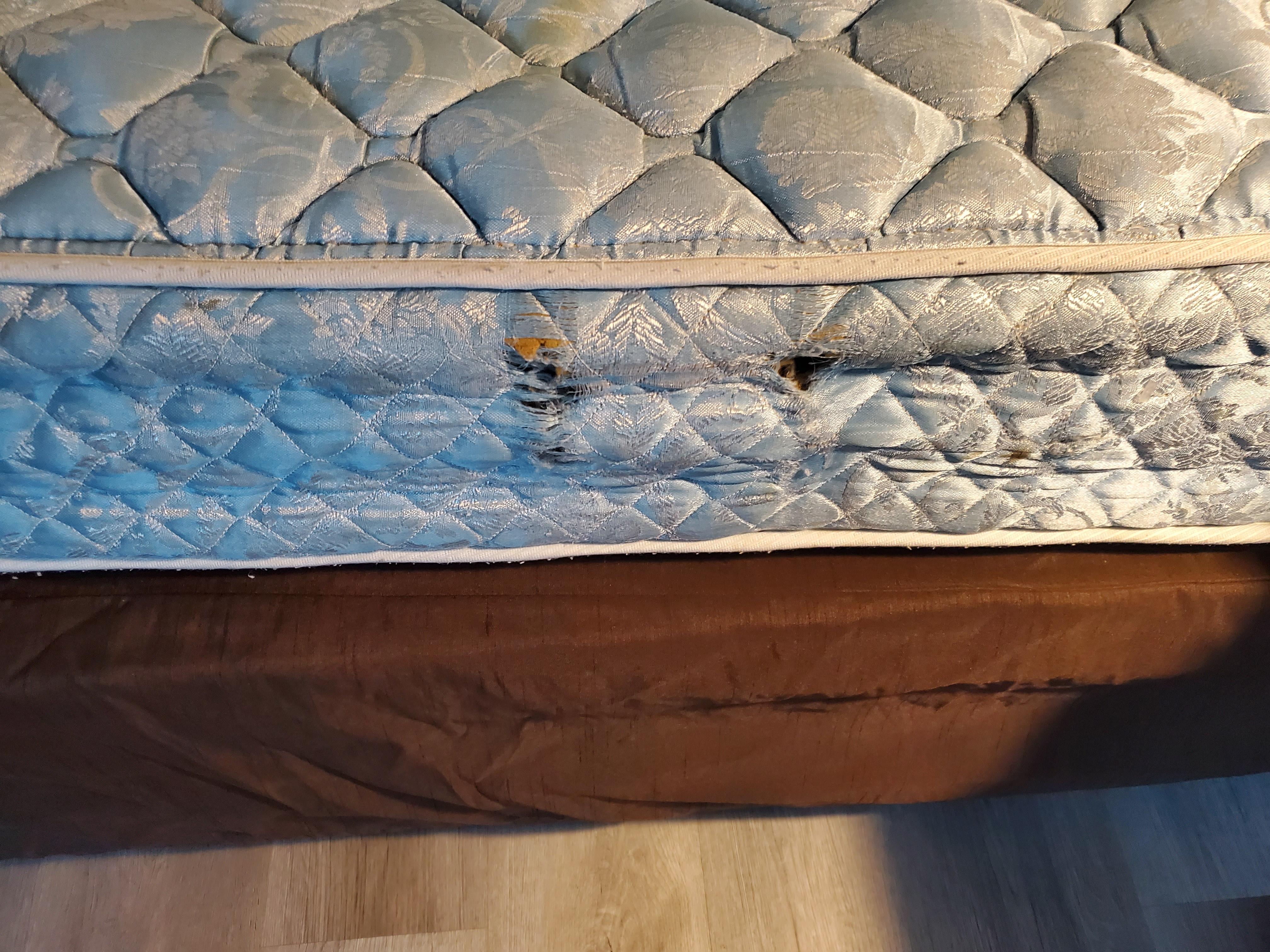 Bed was literally broken you can see the brake 