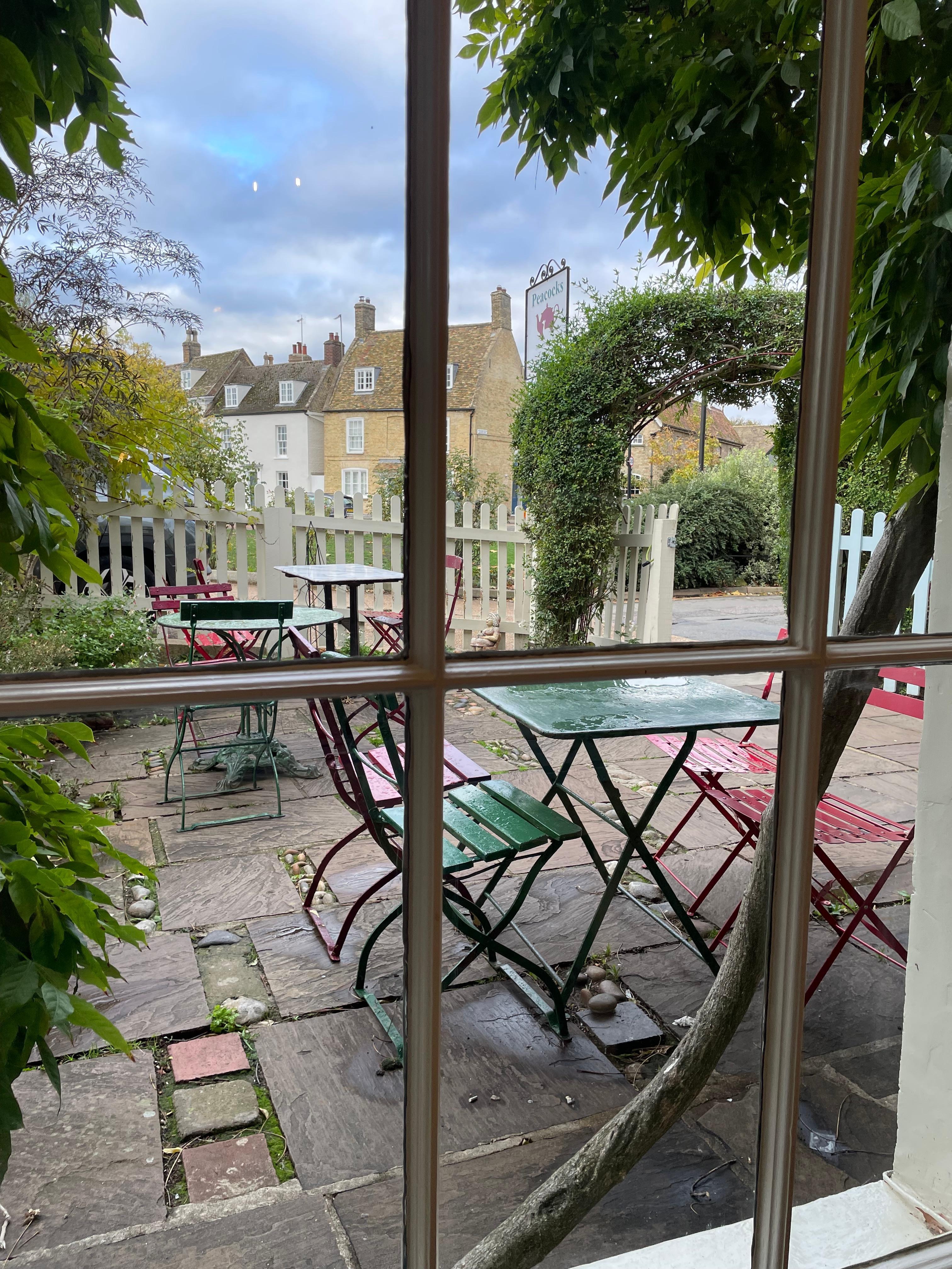 View from the dining room. 