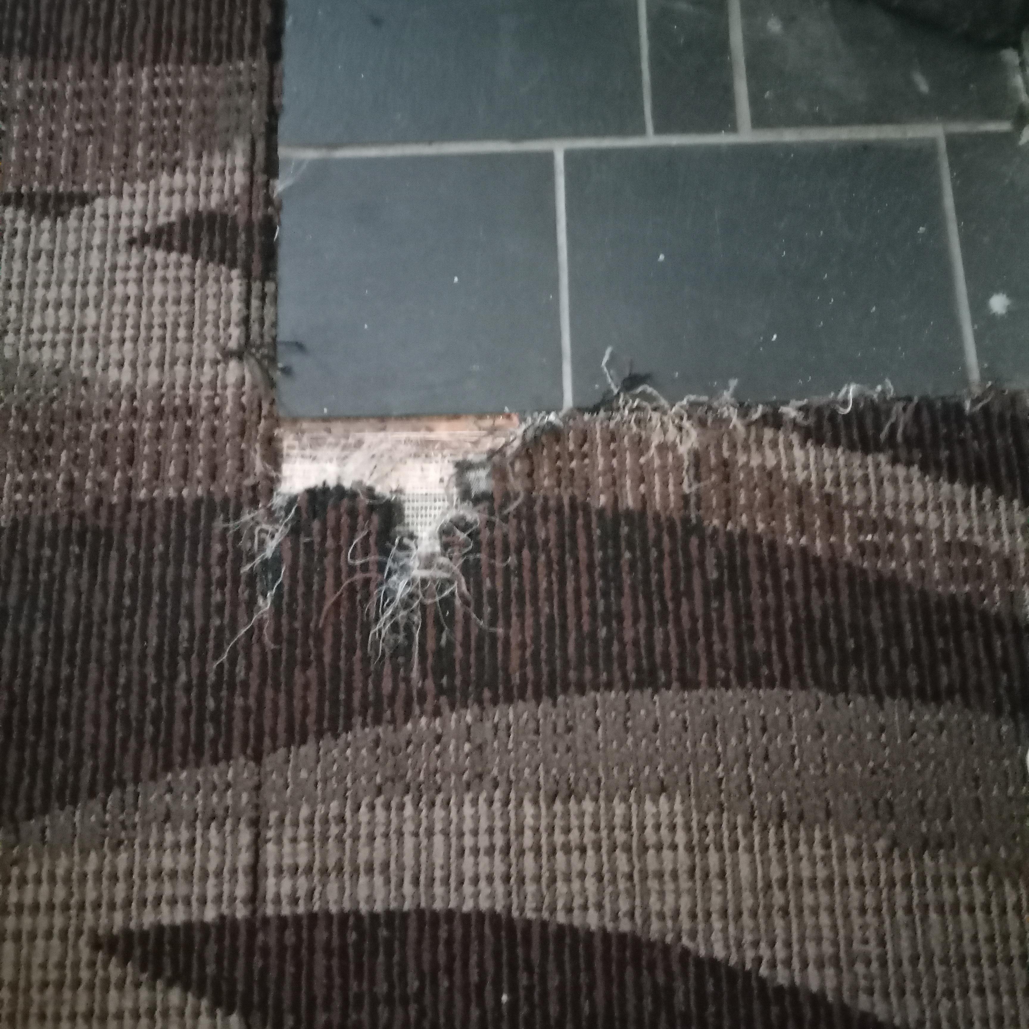 Torn up carpet