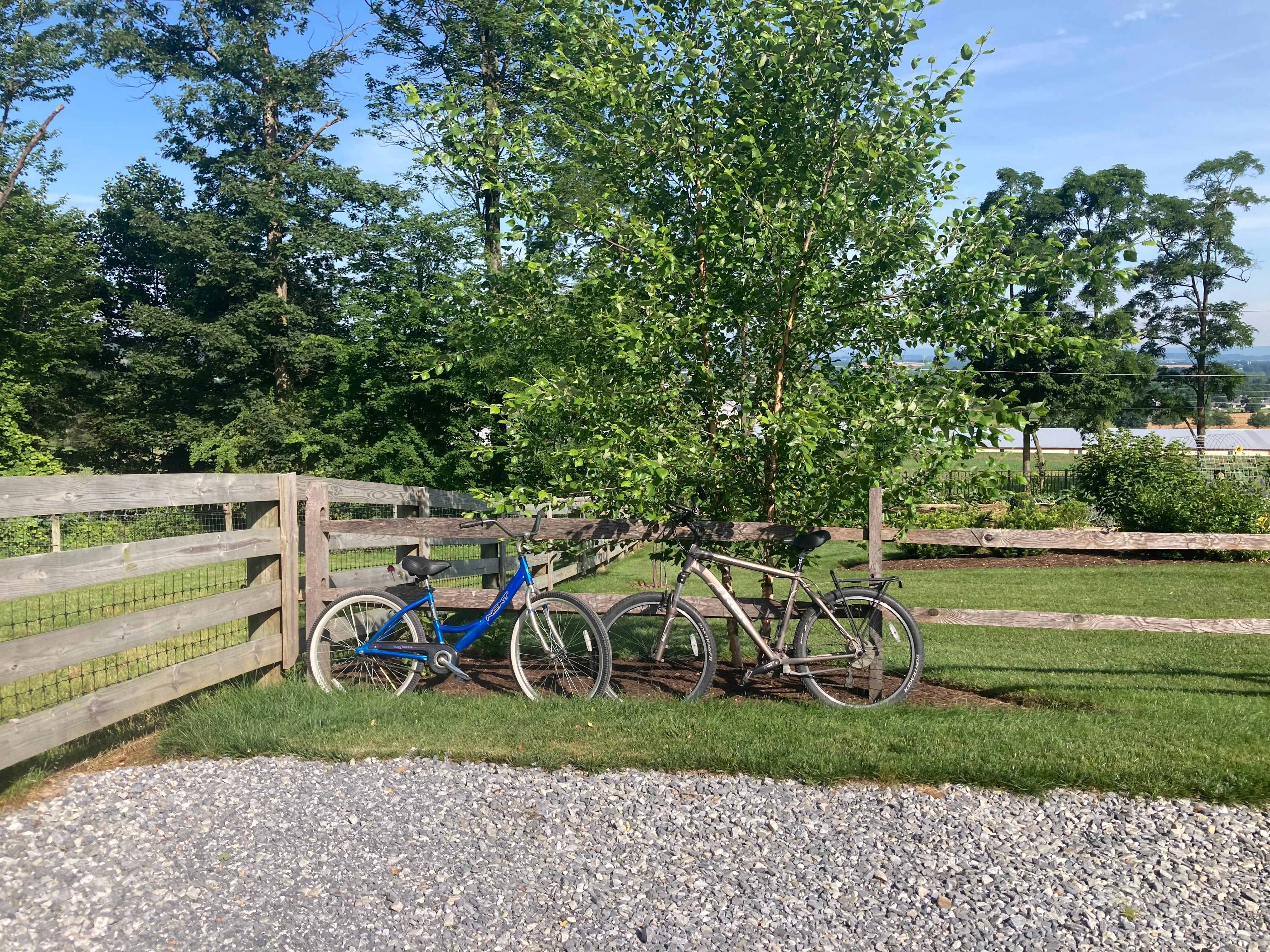 Safe to leave our bikes.