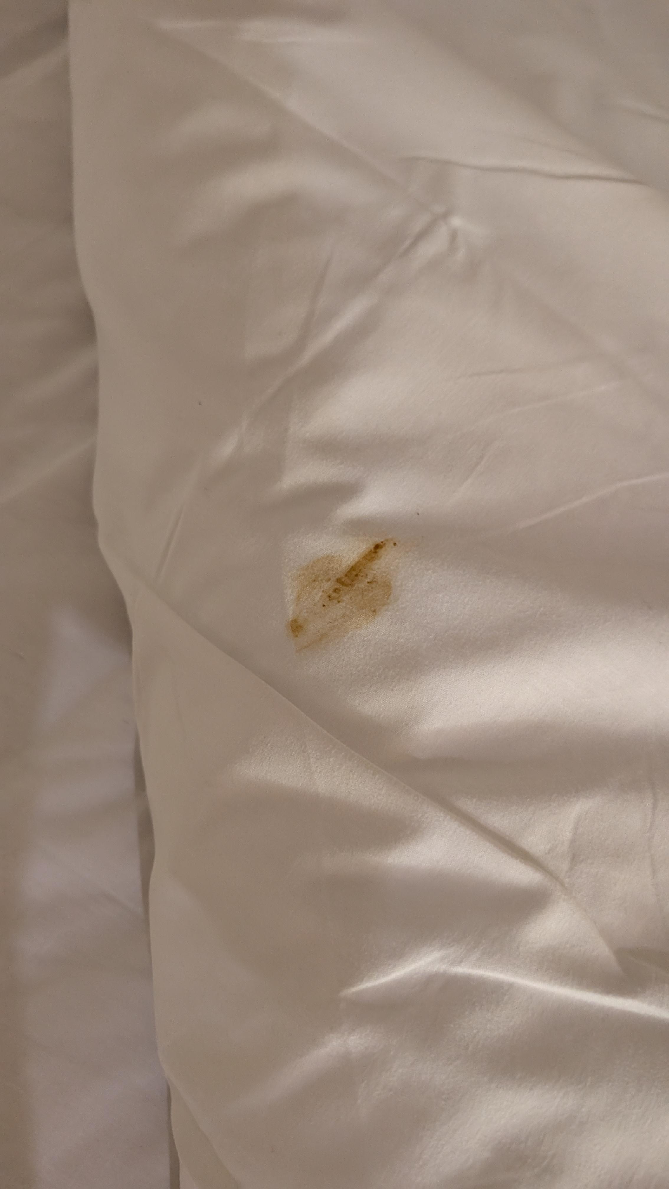 Soiled bedding