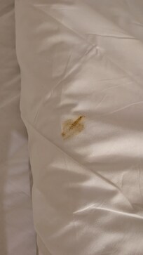 Soiled bedding