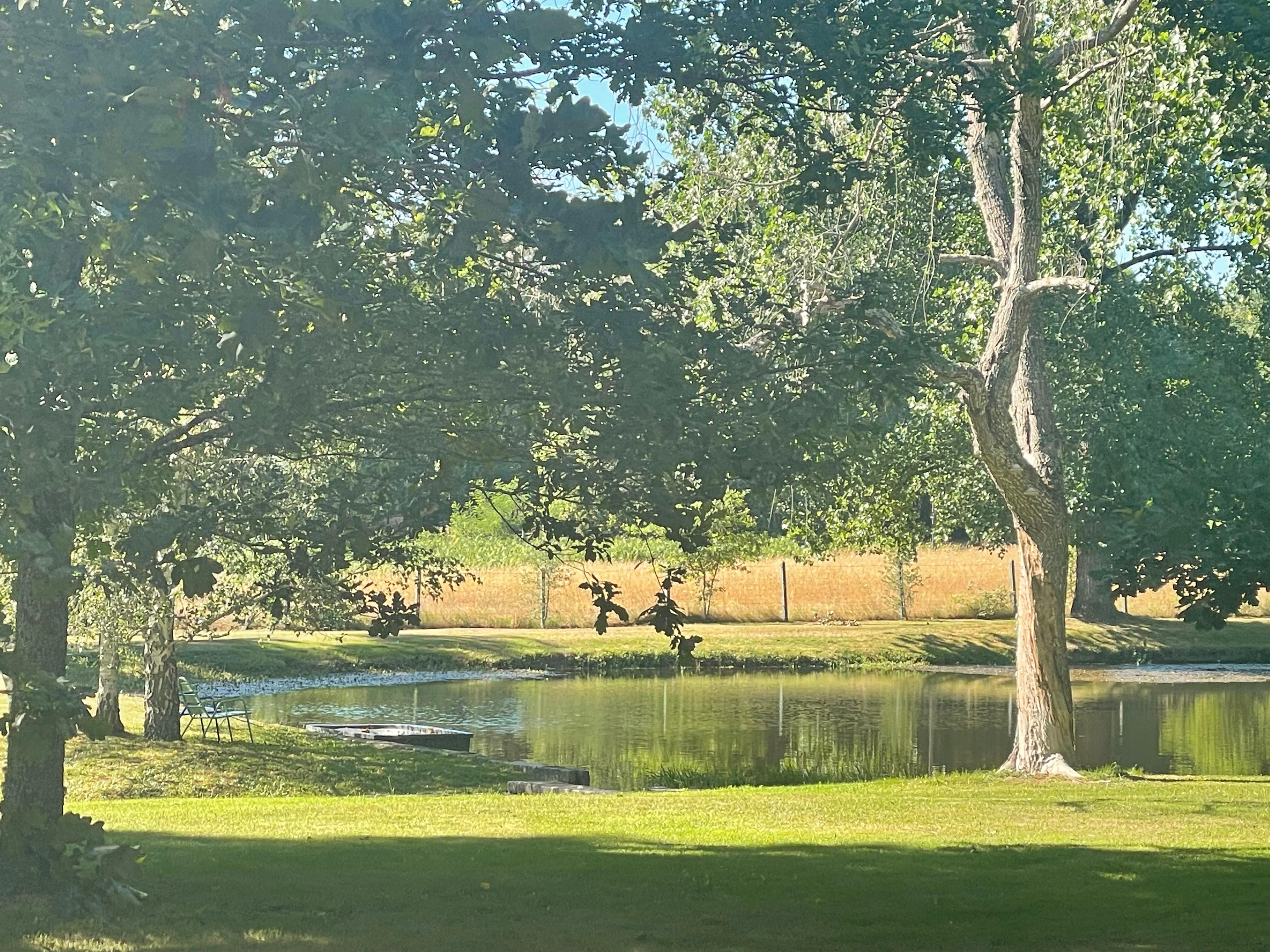 Lake with boat and fudh