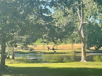 Lake with boat and fudh