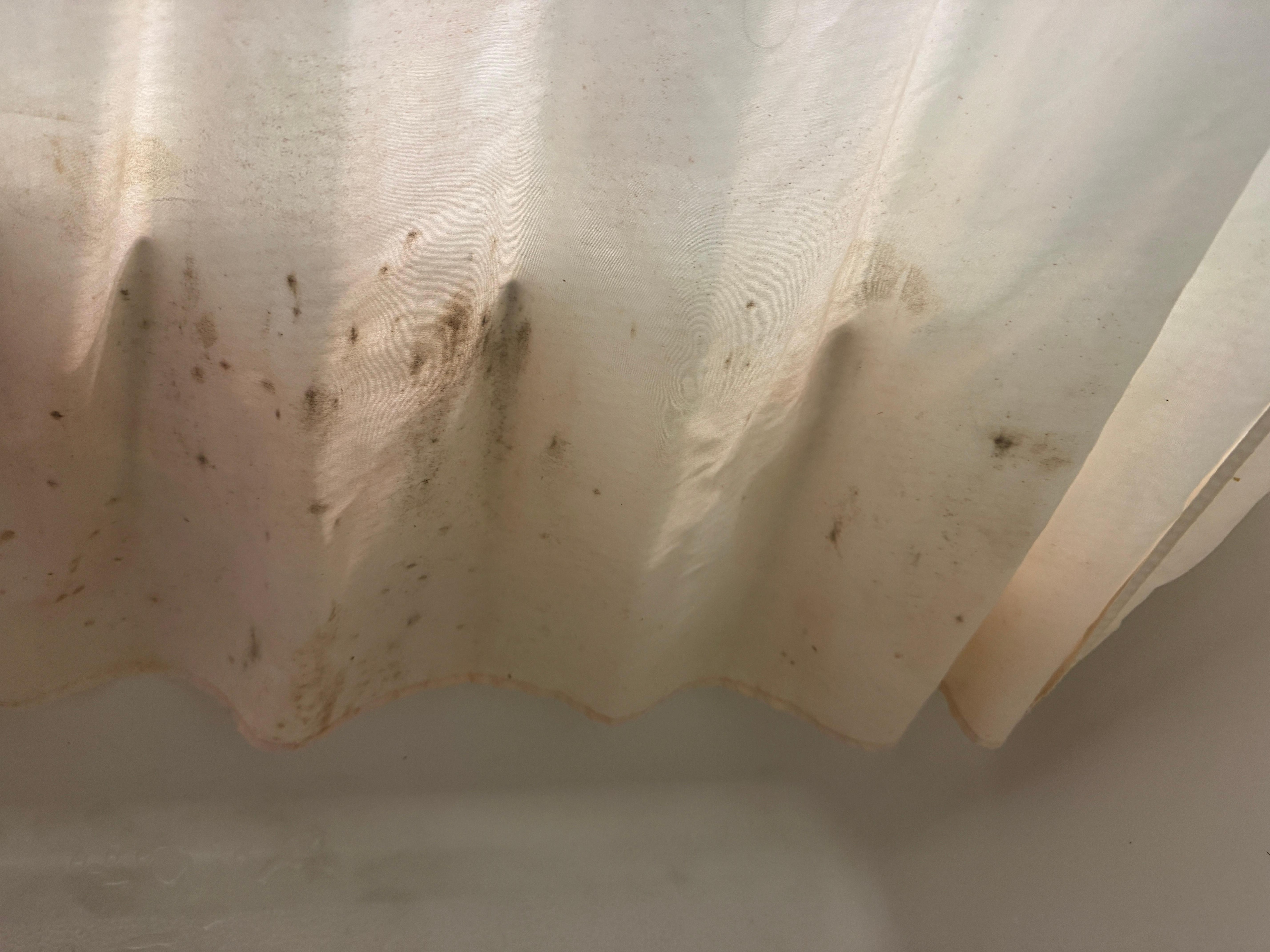 Mouldy shower curtain