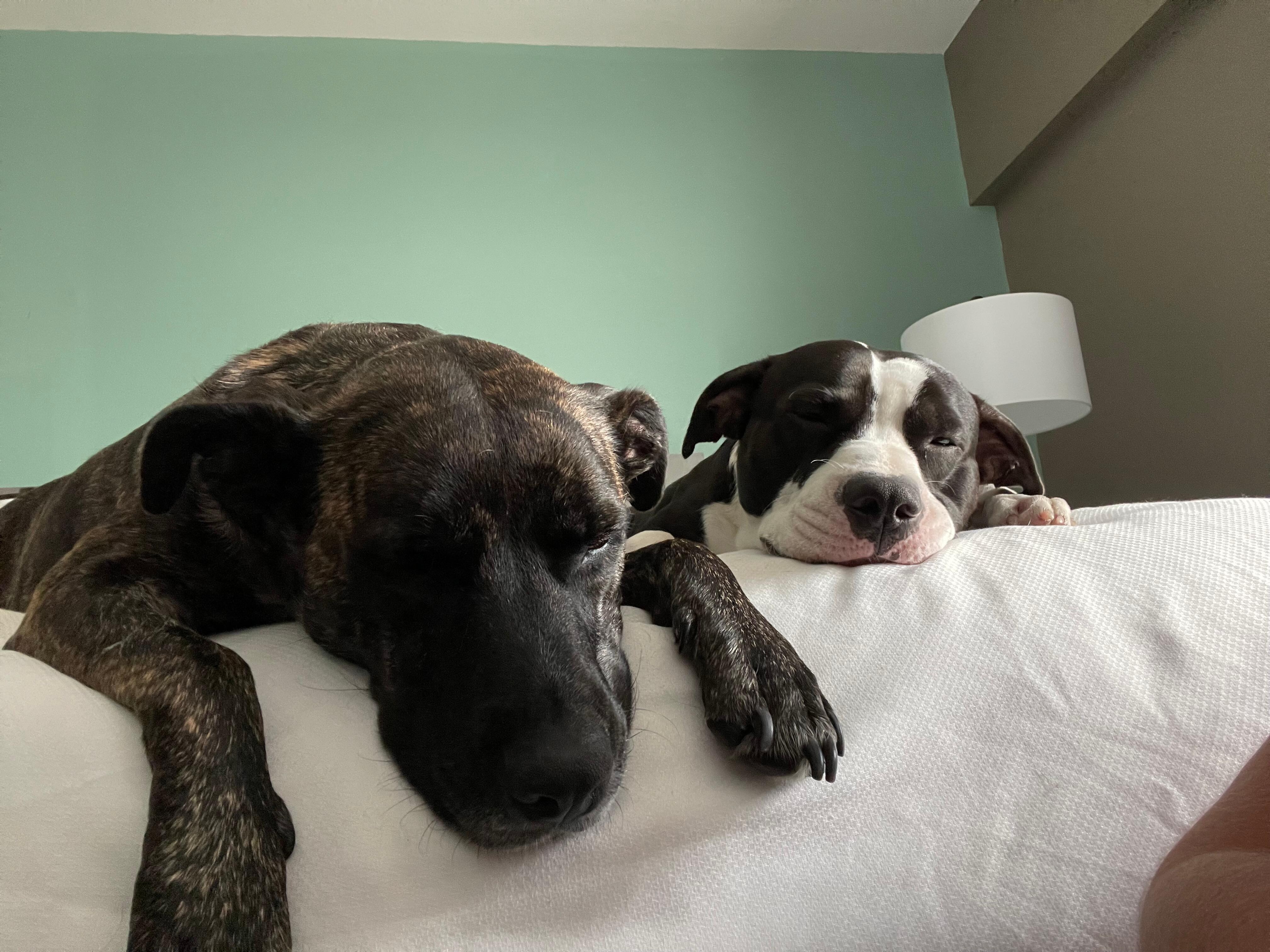 Comfort is important 