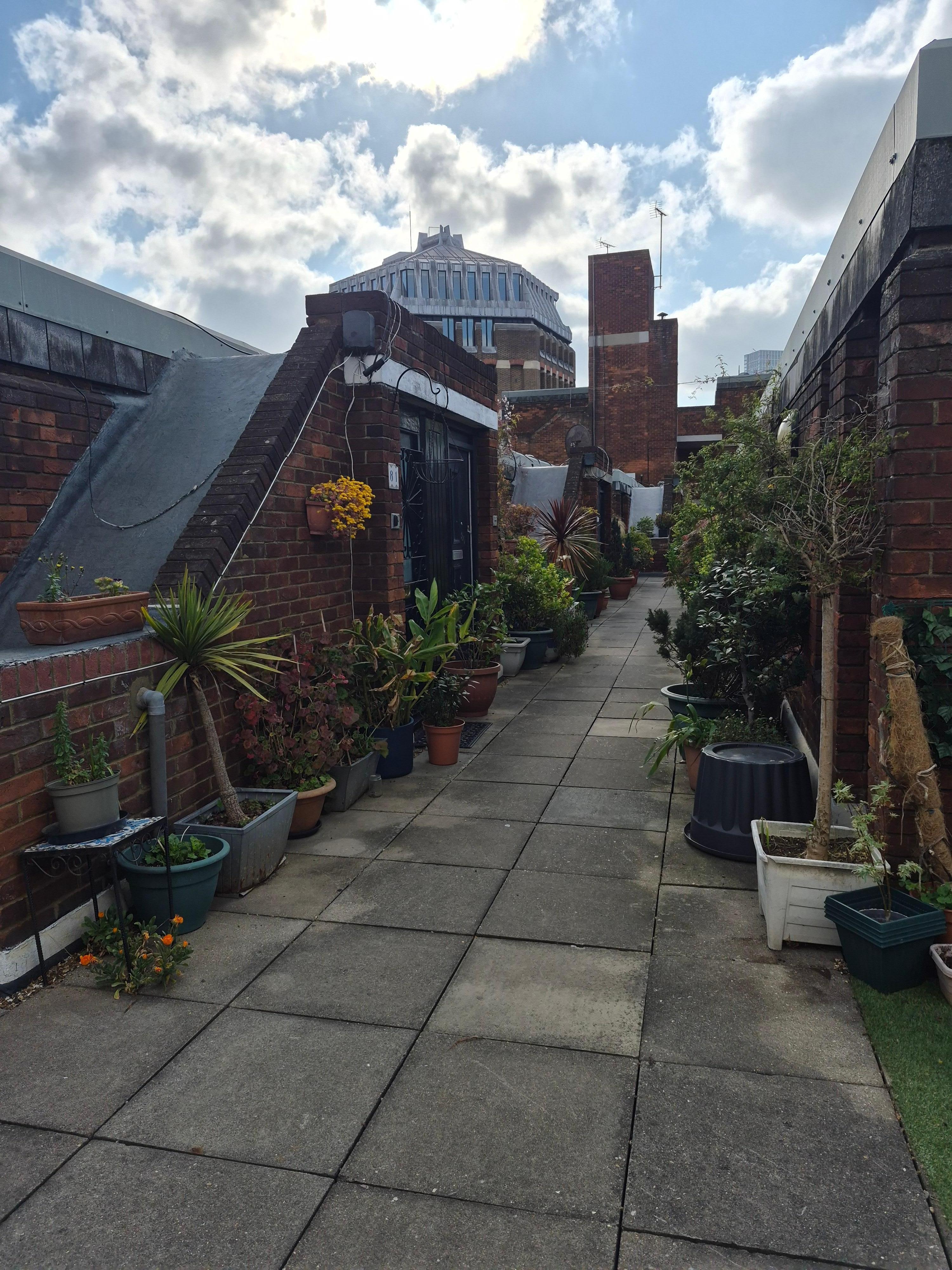 Cute rooftop walkway and garden 