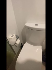 Difficult to reach toilet roll for elderly