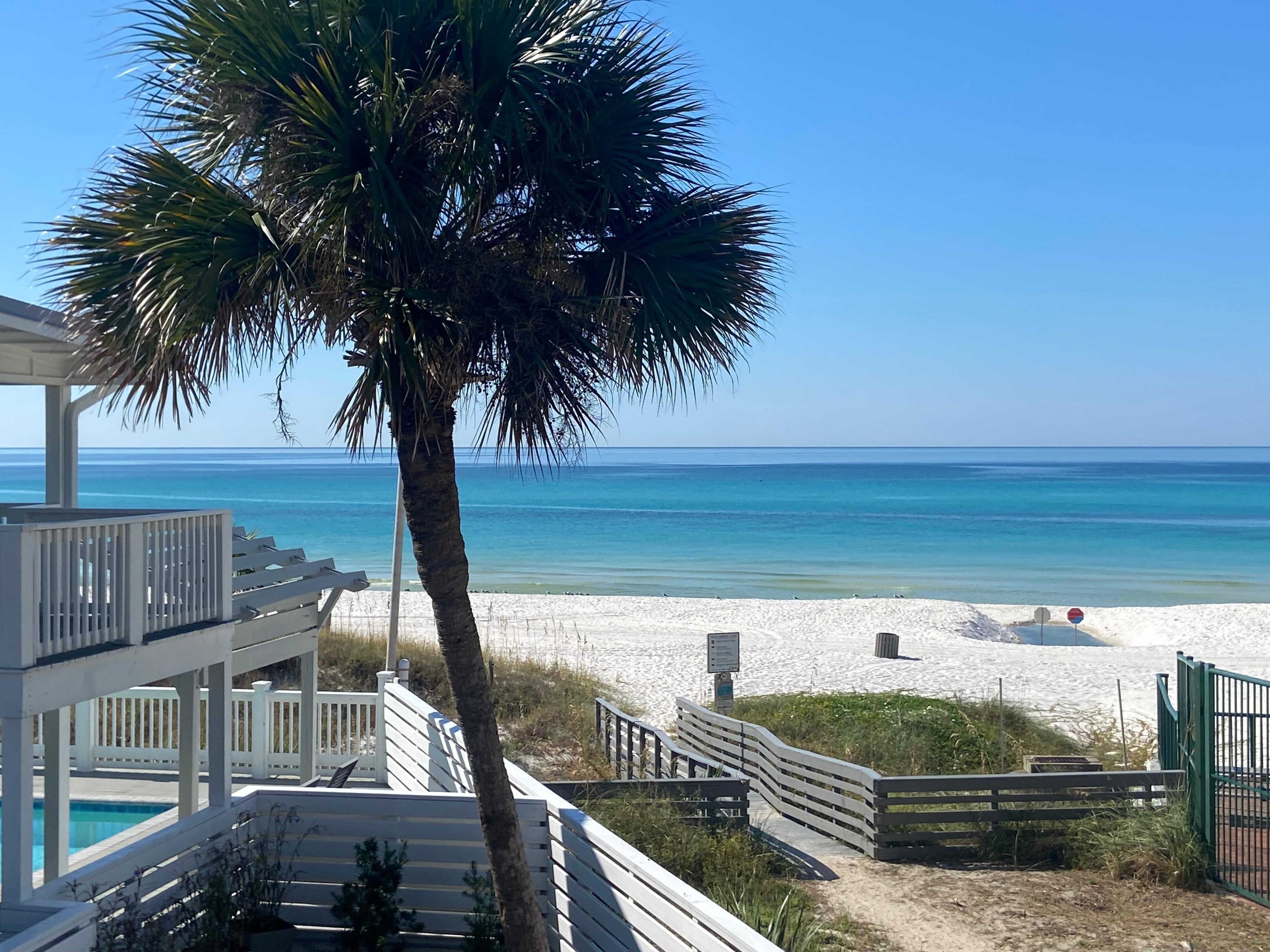 Perfect view every morning 