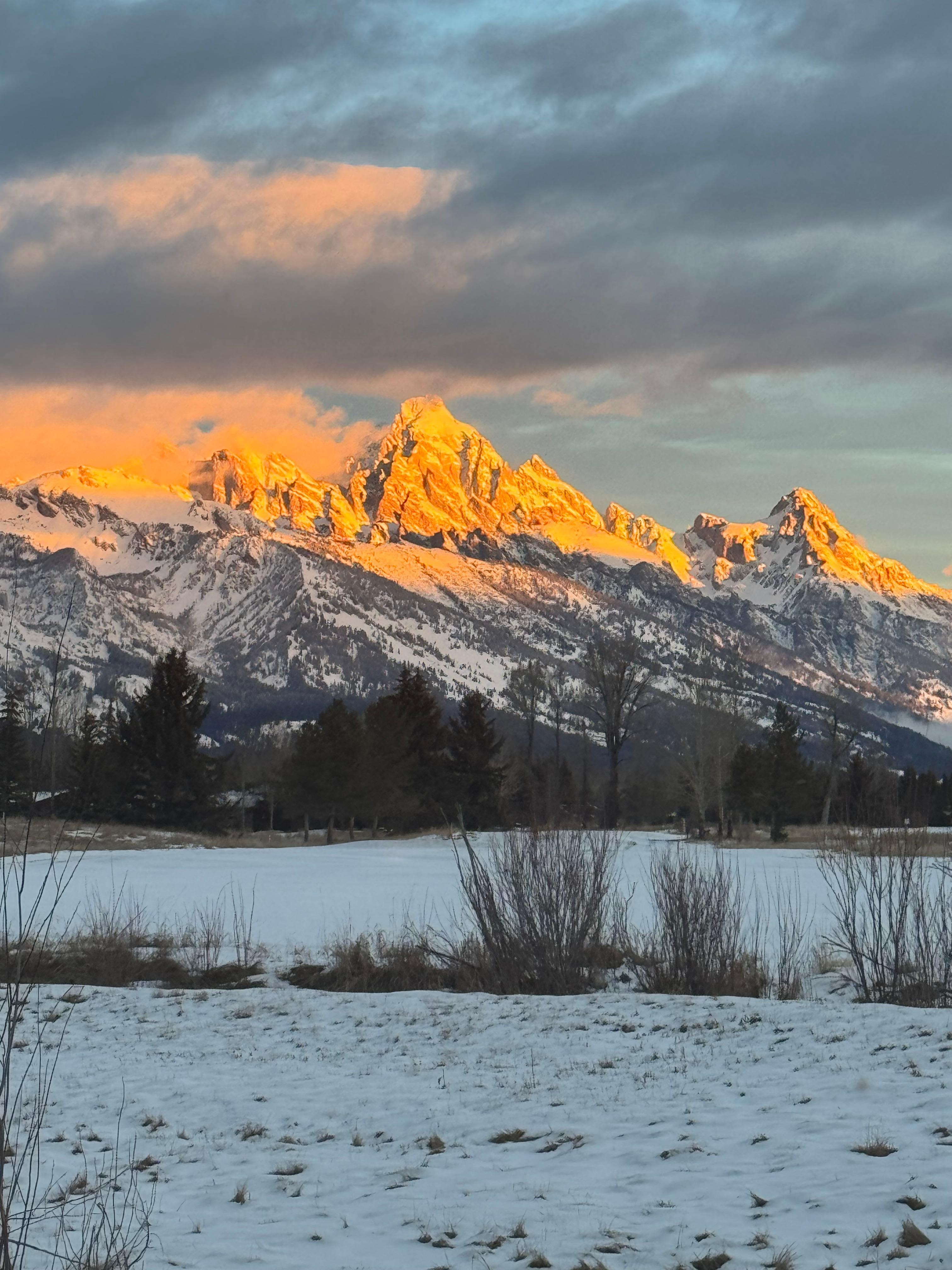 View from the family room
