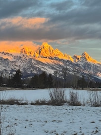 View from the family room
