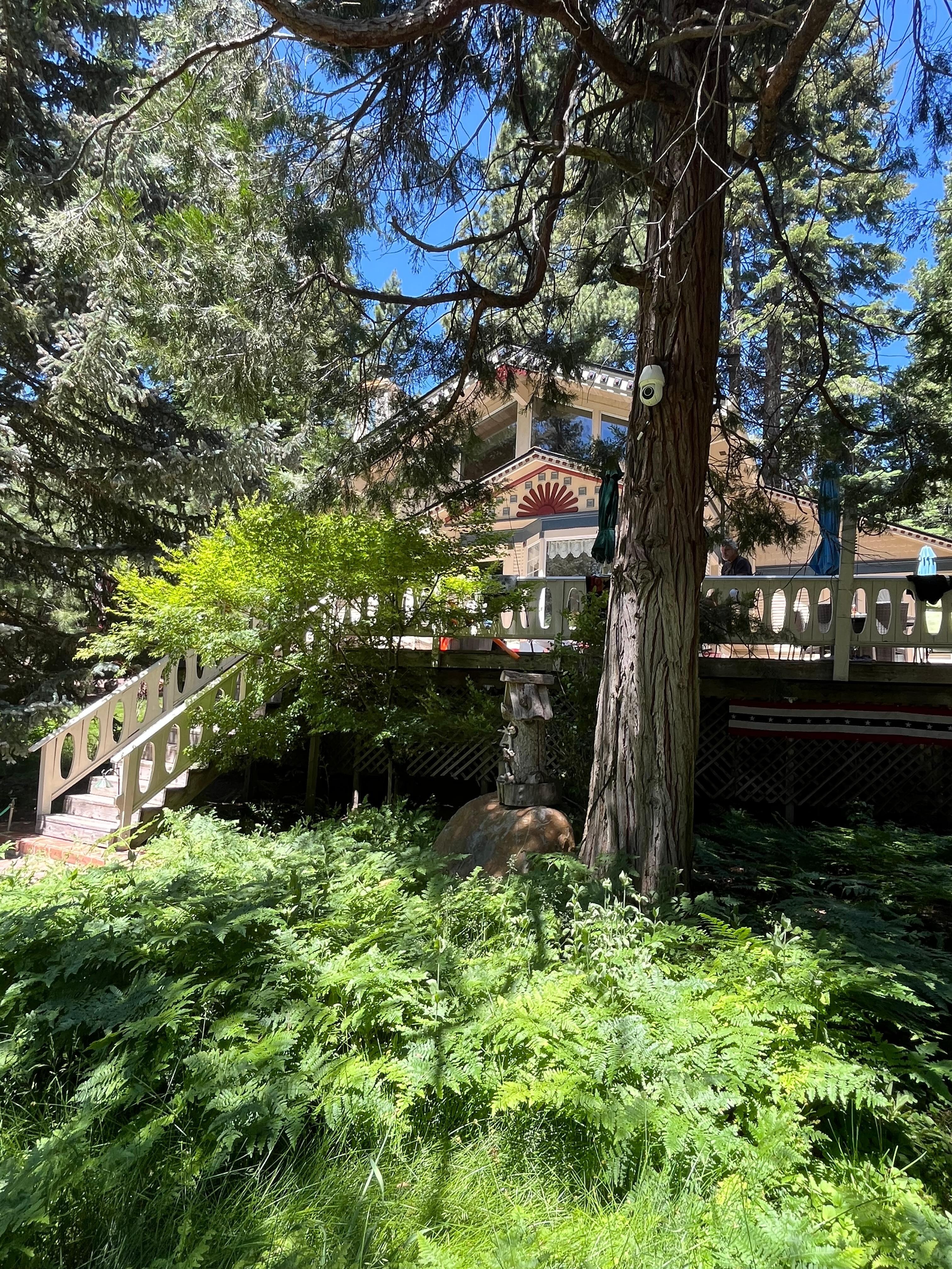 Beautiful garden and home.🌷