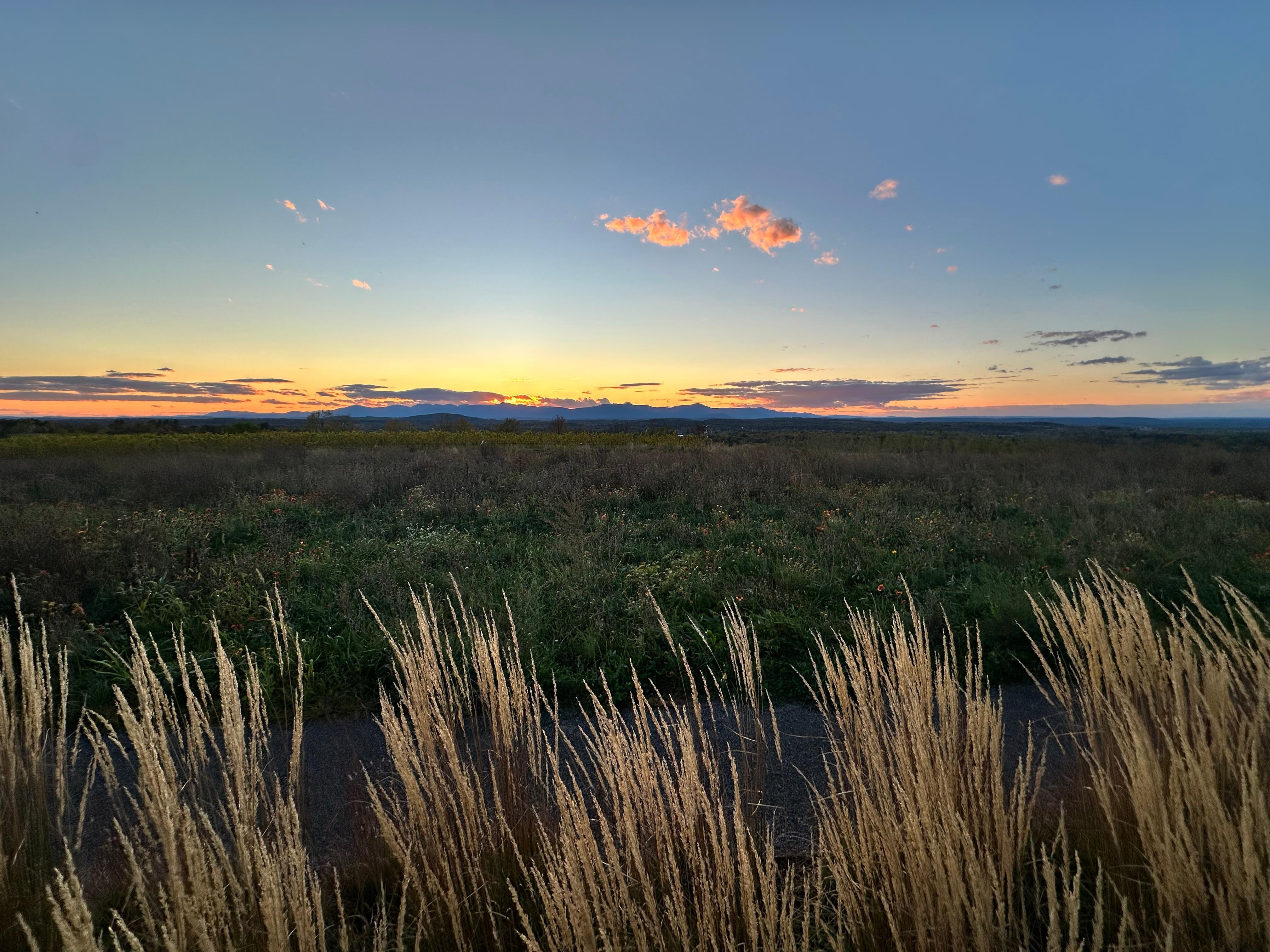 We went to dinner at Klocke Estate - about a 15 minute drive from the house. 