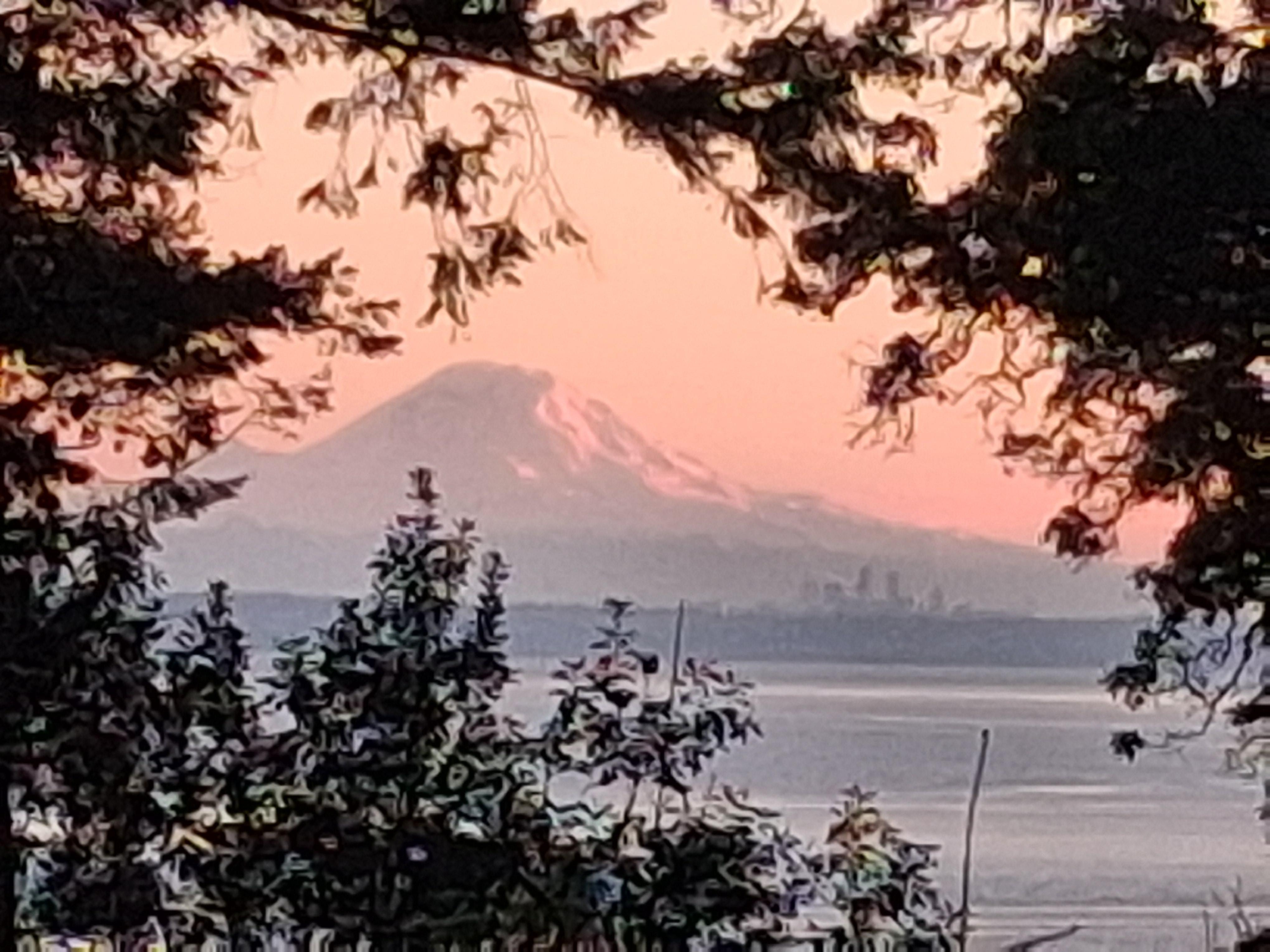 View of Mt. Ranier
