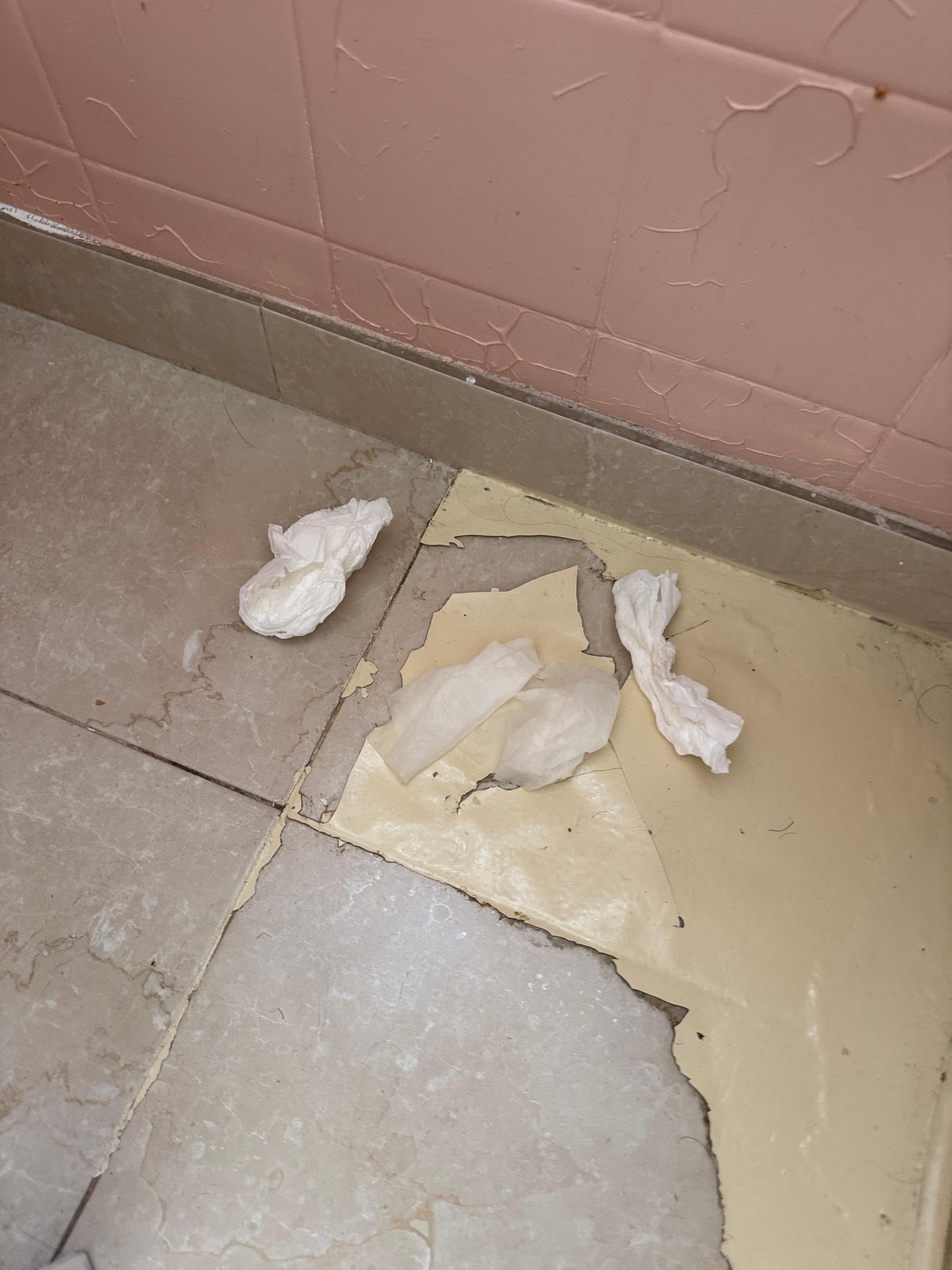 Papel higiénico usado