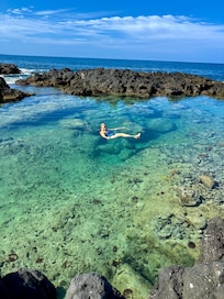 This was found on the hike to the point. Lots of fish in this lava pool.