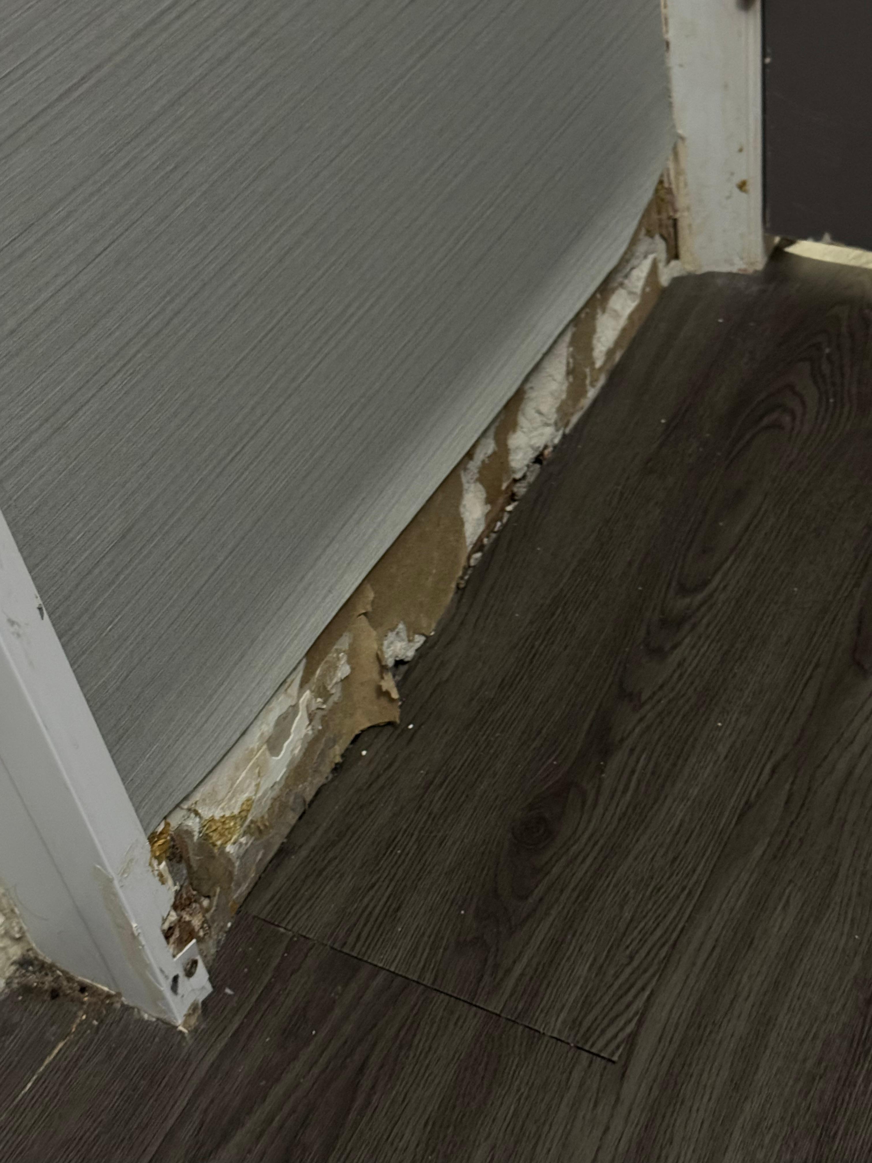 Missing baseboard in bathroom 