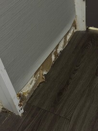 Missing baseboard in bathroom