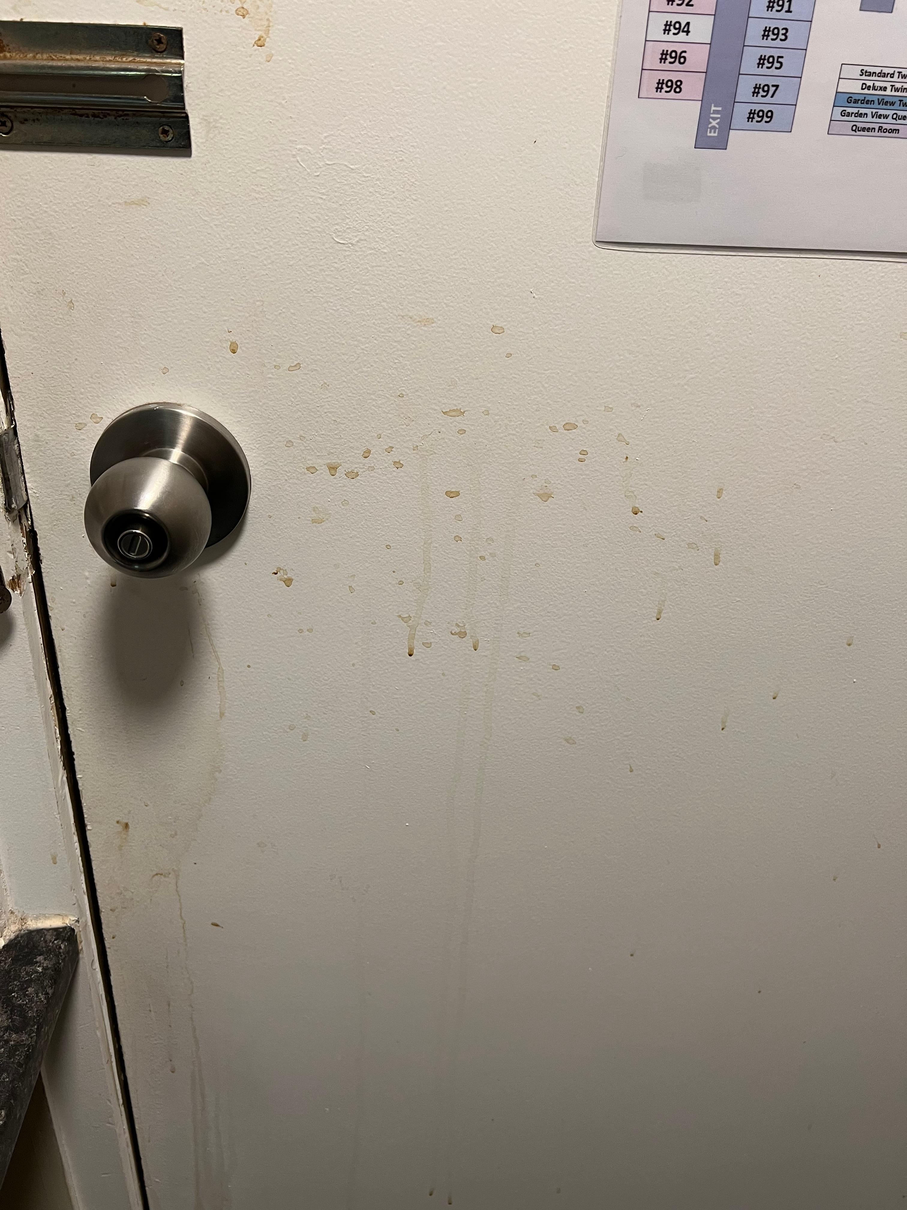 Disgusting my dogs kennel is five star compared with their rooms 