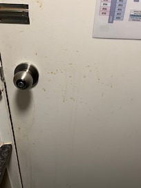 Disgusting my dogs kennel is five star compared with their rooms