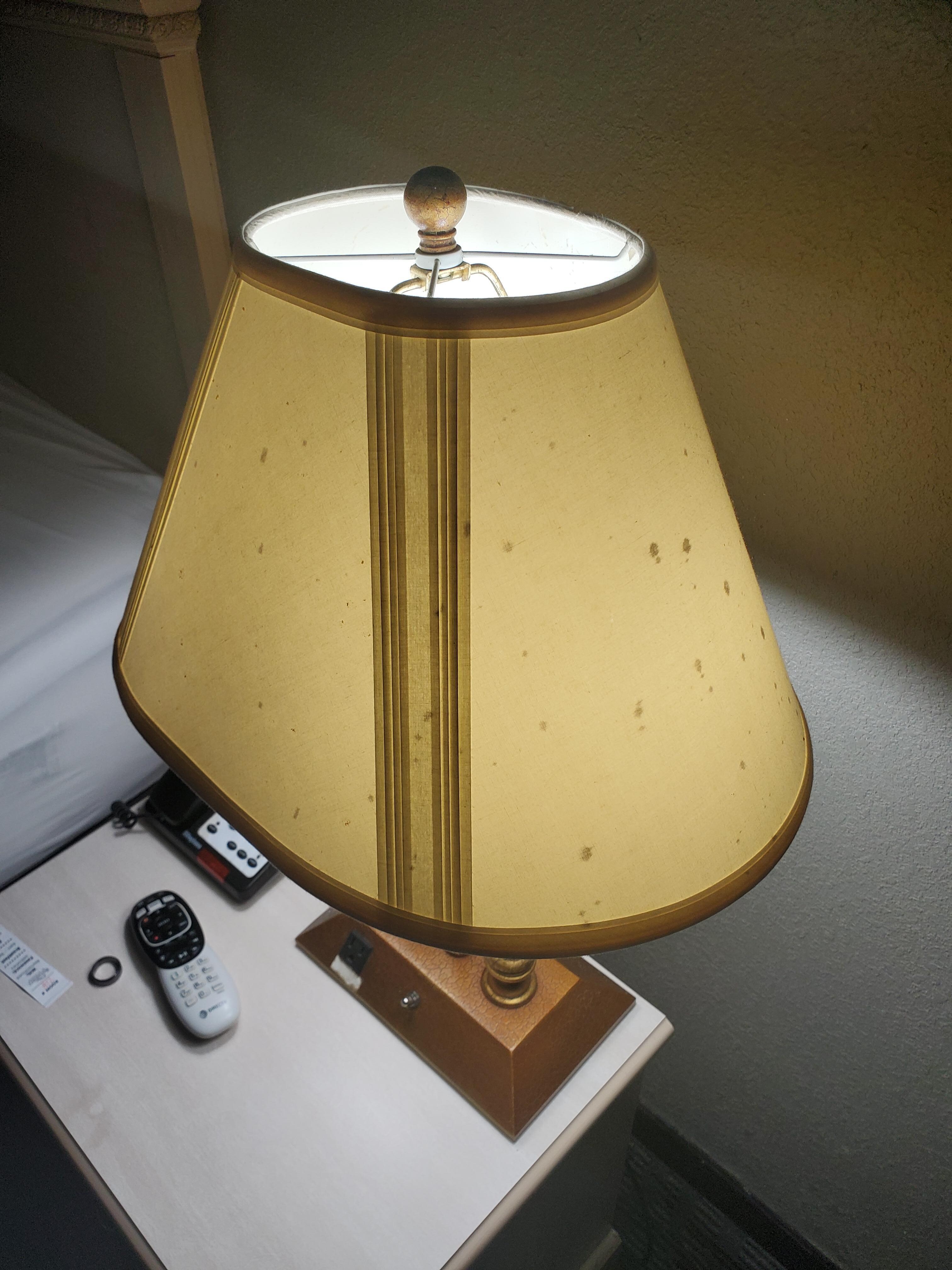 Mildew? Not sure, but pretty gross lamp shade