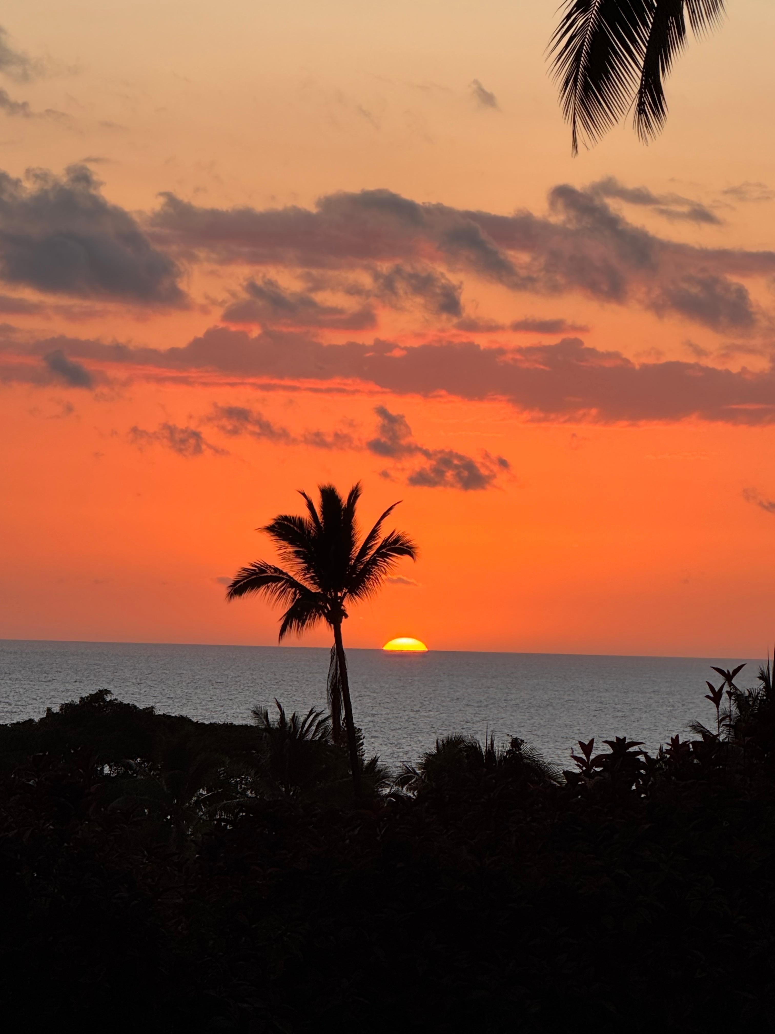 5 steps off the lanai, zoomed in 2x from my phone! 