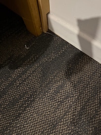 Rain water next to our bed