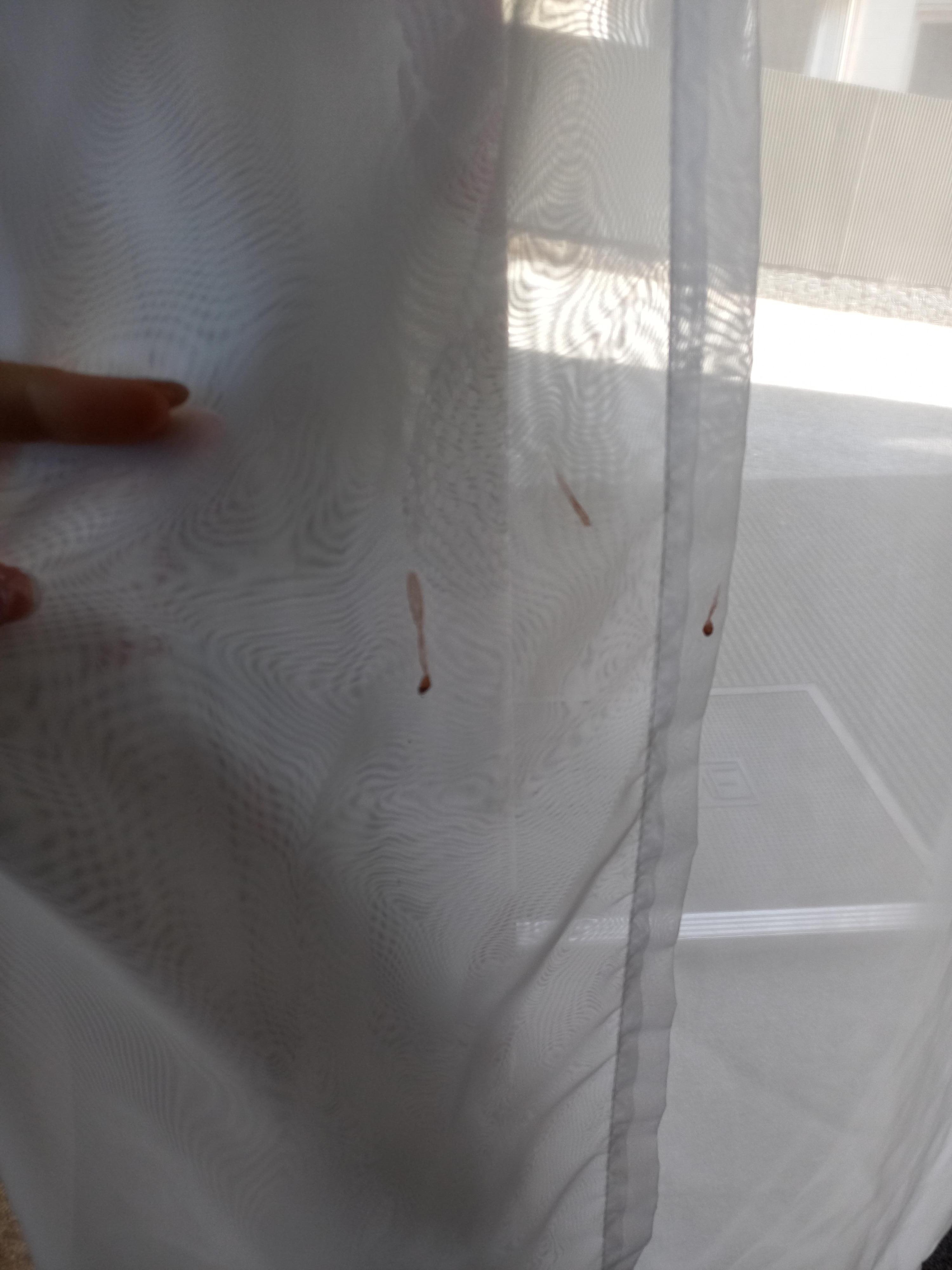 Blood on nets in lounge