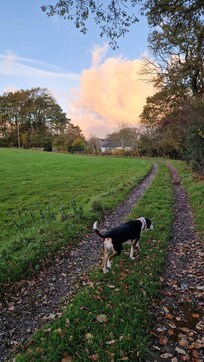 Track next to Inn and River