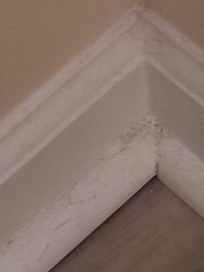 Hair on baseboards