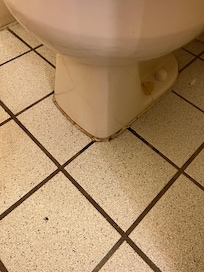 Around the shortest toilet I’ve ever seen
