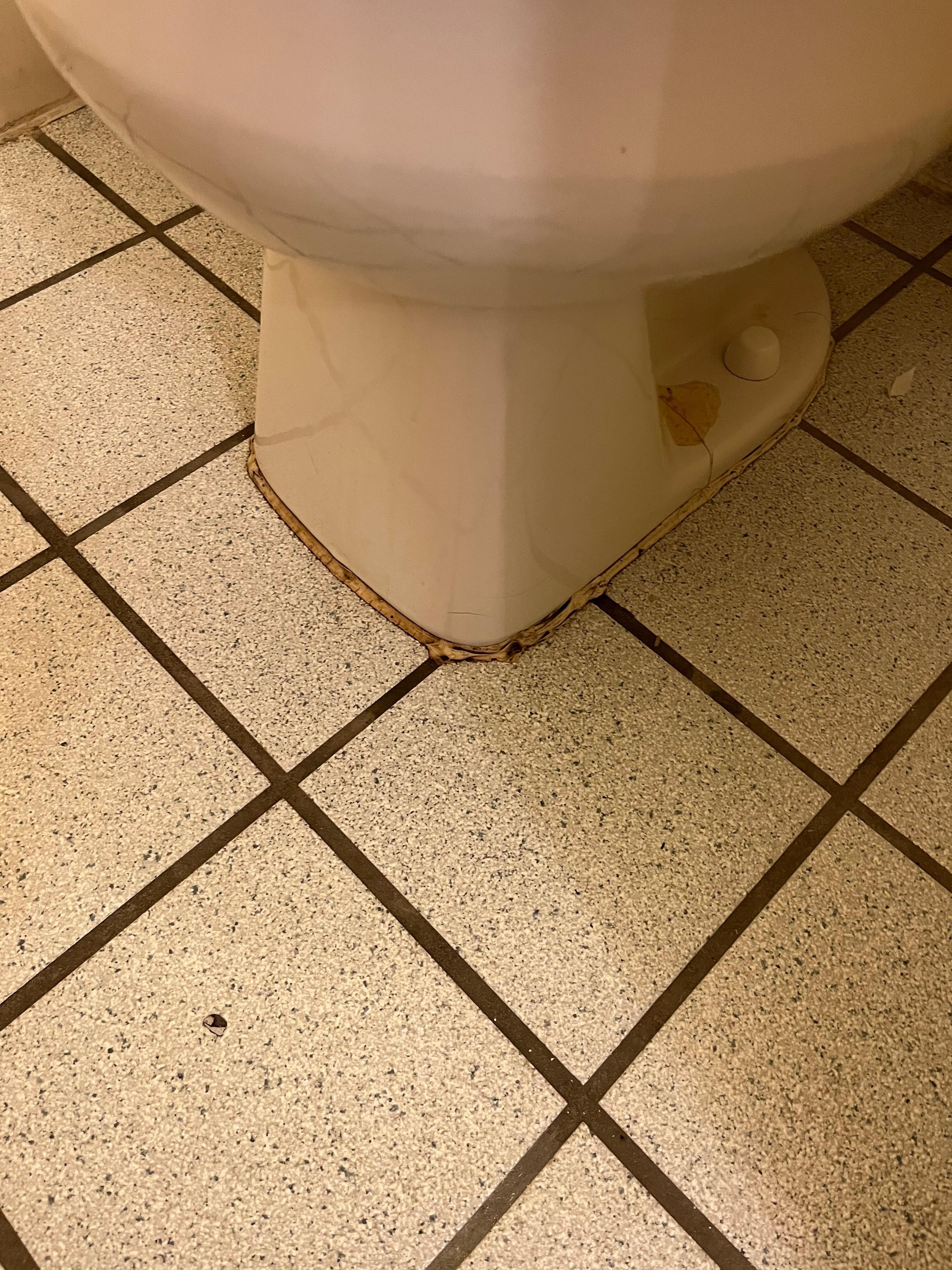 Around the shortest toilet I’ve ever seen 