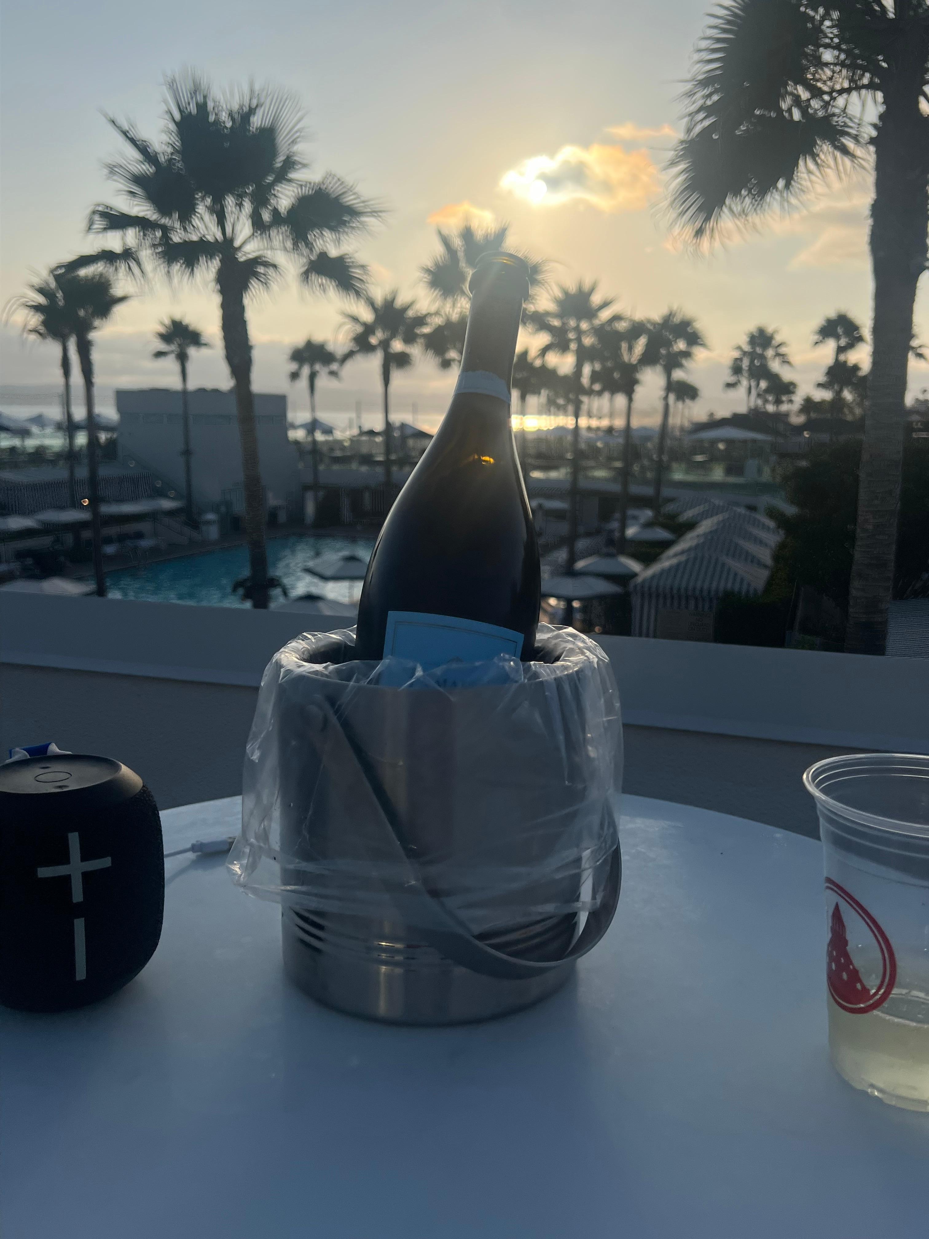 Our patio delight