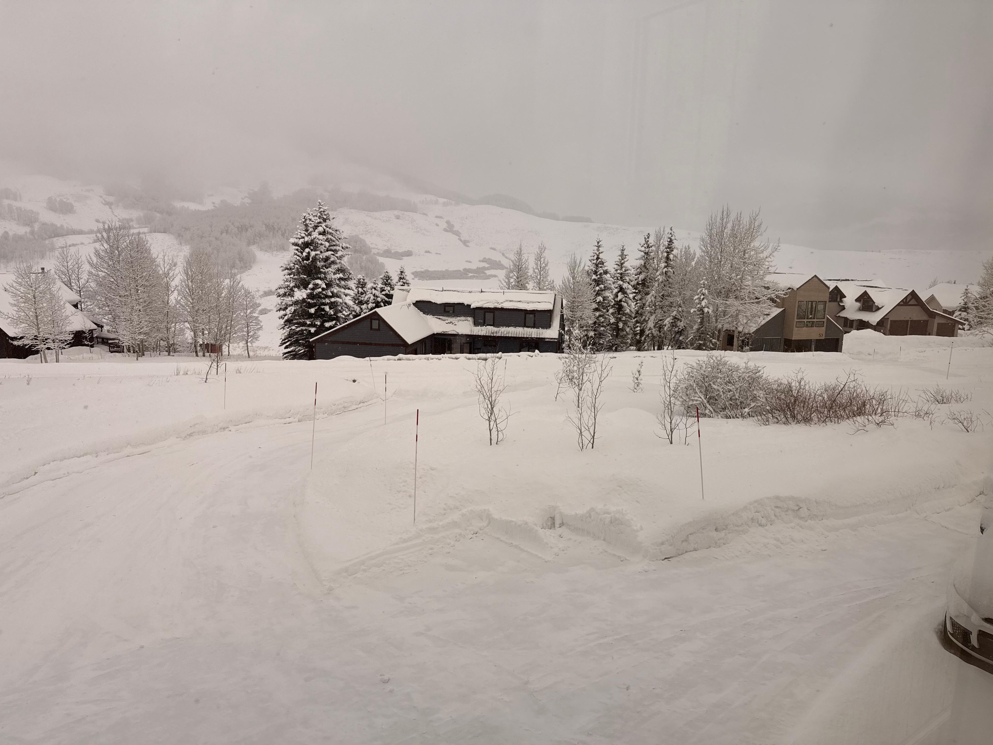 View from upstairs, over driveway.