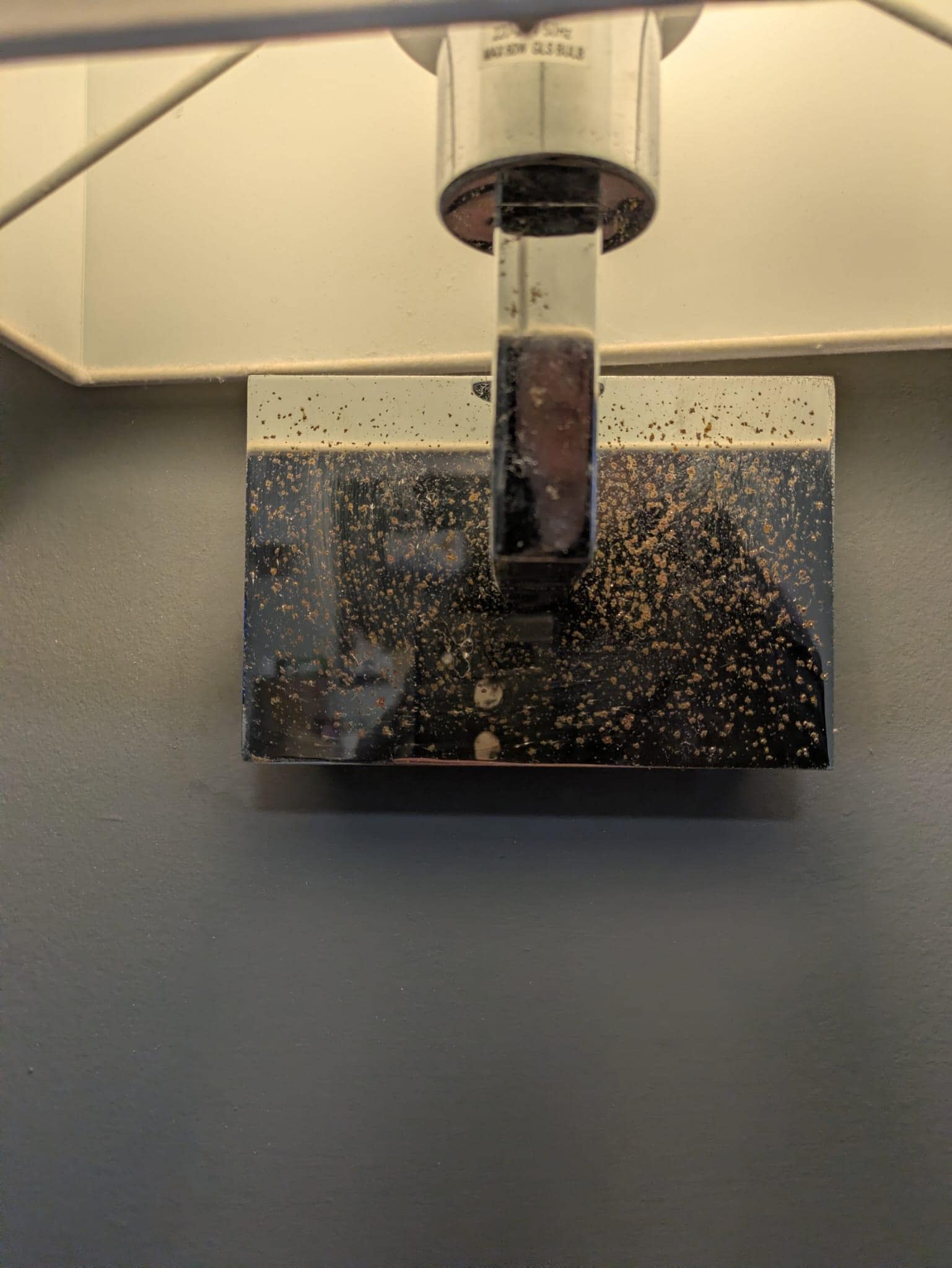 Rust on all fixtures 