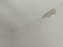 Cracked paint and cobwebs