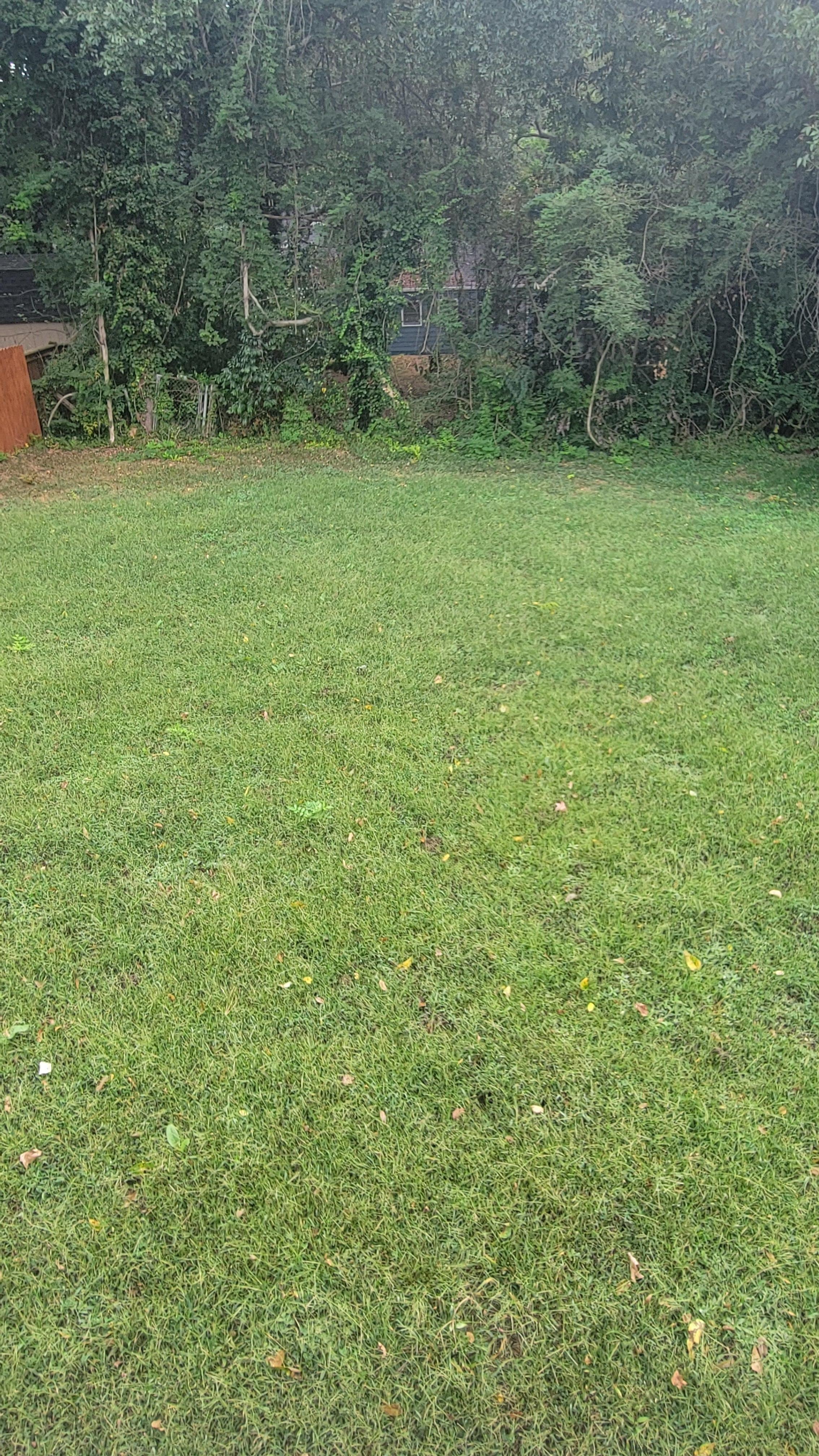 Unpleasurable backyard view