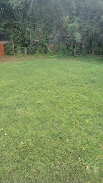 Unpleasurable backyard view